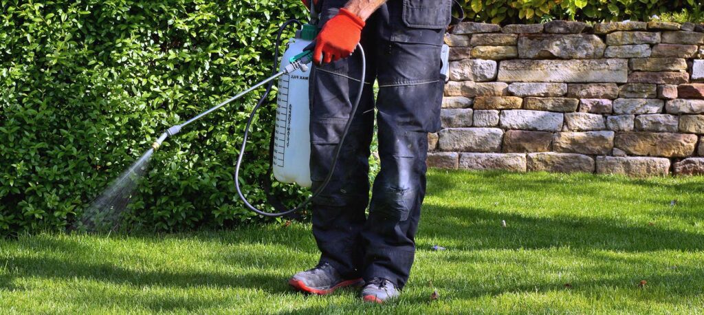 weedicide spray on the weeds in the garden. spraying pesticide with portable sprayer to eradicate garden weeds in the lawn. Pesticide use is hazardous to health. Weed control concept. weed killer.